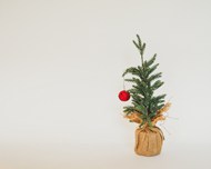 圣诞节冷杉盆栽彩球装饰高清图片