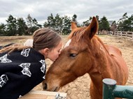 农场小女孩亲吻棕色马匹高清图片