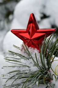 圣诞节红色五角星装饰写真高清图片