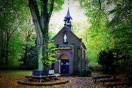 绿色树林特色教堂建筑写真图片下载