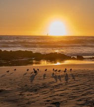 唯美黄昏大海沙滩落日余晖写真图片