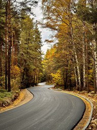 秋天生态林公路风景写真精美图片
