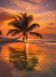 日暮黄昏海边椰子树风光写真图片