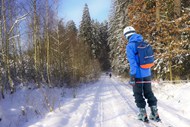 冬季树林雪地帅哥滑雪图片下载
