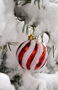 冬季雪景冷杉圣诞球装饰图片下载