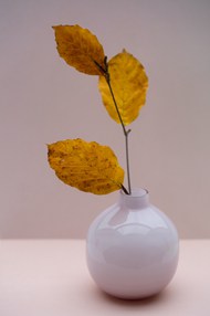 秋天树叶白色陶瓷插花装饰艺术高清图片