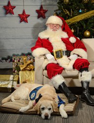 圣诞节拉布拉多犬圣诞老人图片下载
