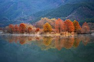 秋季树林山水风光写真高清图片