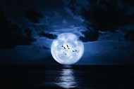 海上生明月风光写真图片下载
