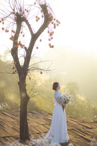 秋天意境山野风格婚纱摄影写真图片