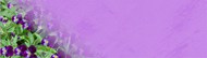 紫色花卉banner背景写真精美图片