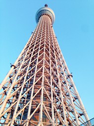 蓝色天空东京天空树建筑写真图片