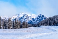 冬季巍峨雪域高山树林风景写真图片