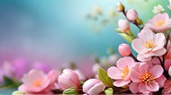 春日唯美粉色海棠花写真高清图片
