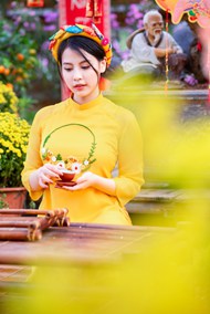 越南春天黄色奥黛美女写真精美图片