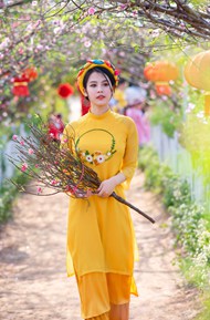 越南时尚传统服饰美女摄影写真精美图片