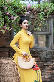 越南民族服饰黄色奥黛美女摄影图片