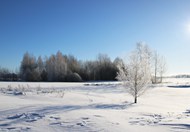 冬季萧条冰雪世界雾凇风光写真图片