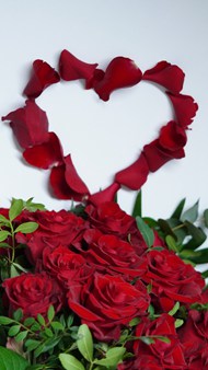 摆成爱心的红色玫瑰花束写真精美图片