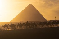 日暮黄昏埃及金字塔骆驼群写真精美图片