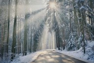 冬季森林一缕阳光写真图片