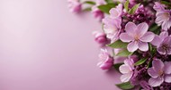 紫色风格花卉背景写真图片大全