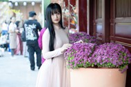 越南街头粉色奥黛旗袍美女写真图片下载
