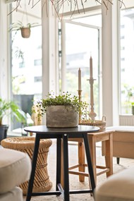 现代室内一角桌子沙发盆栽植物写真图片下载