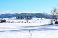 冬季原野一片白茫茫雪景写真图片下载