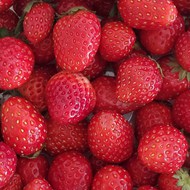 一堆新鲜的草莓写真精美图片