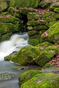 山间小溪长满青苔的岩石精美图片