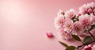 春天粉色花卉背景写真图片下载