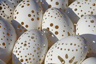 复活节镂空蛋壳工艺品写真精美图片
