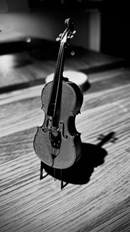 黑白风格小提琴乐器写真高清图片