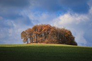 秋天蓝色天空树木草地风景写真精美图片