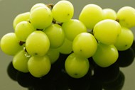 一串绿色的葡萄写真图片下载