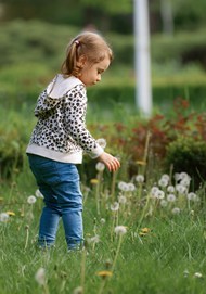 春天草地上摘蒲公英的小女孩精美图片
