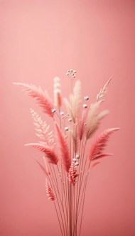 粉色渲染蒲苇草写真高清图片