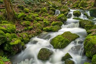 绿色青苔山间溪流岩石写真高清图片