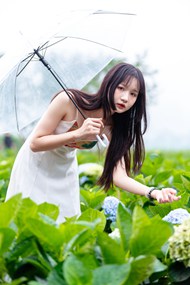 绿色菜园子撑伞美女摄影精美图片