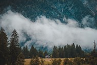 雾气朦胧自然森林风光写真图片下载