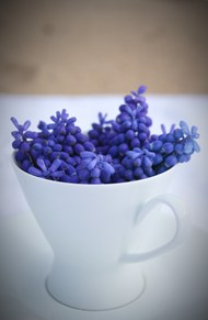 白色咖啡杯紫色葡萄风信子高清图片