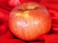 红色健康有机新鲜苹果图片大全