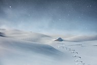 冬季雪地白色雪花漫天飞舞高清图片