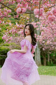 春日樱花树下粉色婚纱照写真高清图片