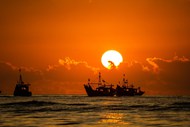 黄昏残阳海上轮船剪影高清图片