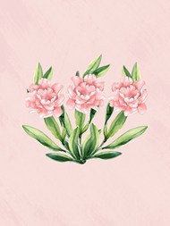粉色水彩风格花卉背景写真图片下载