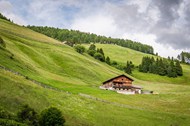 绿色阿尔卑斯山脉风景写真图片