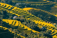 乡村龙脊梯田风景写真图片下载