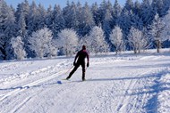 冬季雪地越野滑雪运动员图片大全